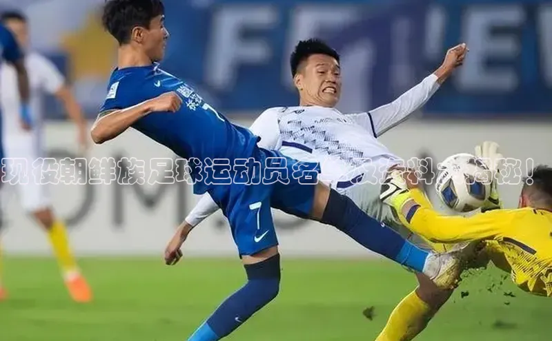 欧亿体育官网入口百度手机卫士现役朝鲜族足球运动员名单及资料大揭秘！