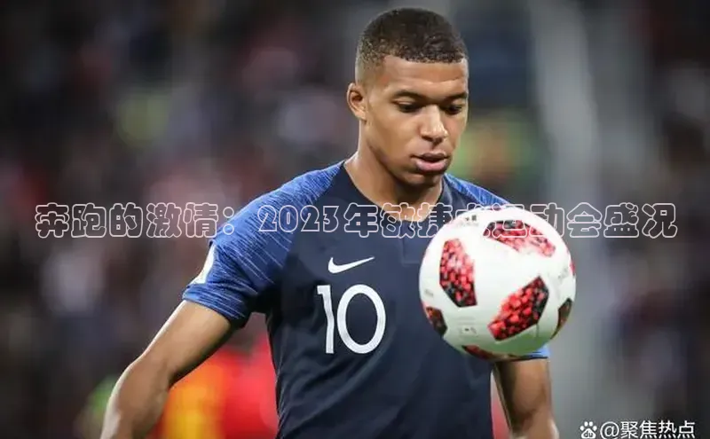 欧亿体育综合app平台美团奔跑的激情：2023年敏捷犬运动会盛况