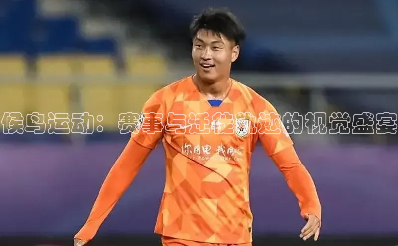 候鸟运动：赛事与迁徙轨迹的视觉盛宴