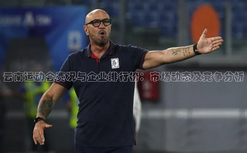 云南运动会赛况与企业排行榜：市场动态及竞争分析