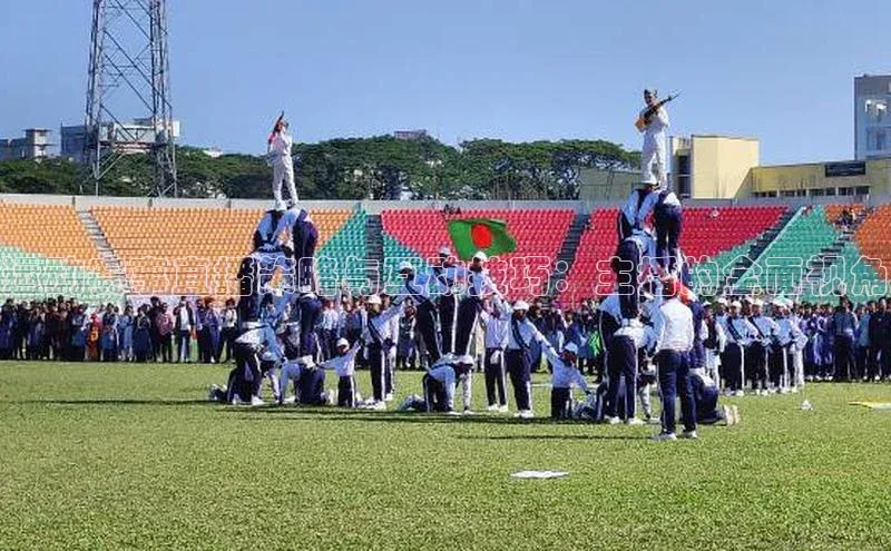 运动赛事直播策略与互动技巧：主播的全面视角