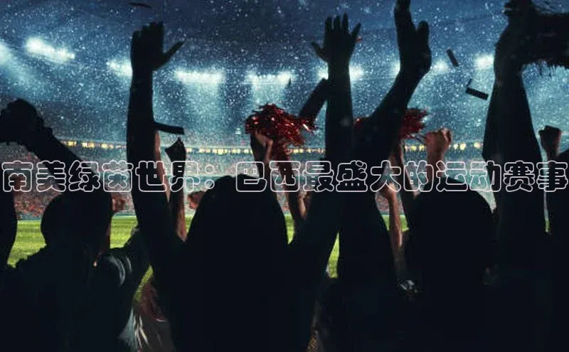 南美绿茵世界：巴西最盛大的运动赛事