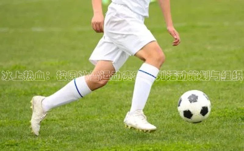冰上热血：校园冰雪运动赛事系列活动策划与组织