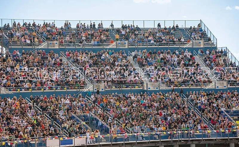 ：运动赛事部门的组织架构与职责分配