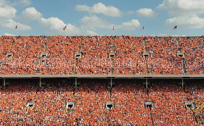 奔腾不息的激情：潮汕运动赛事的魅力与传承