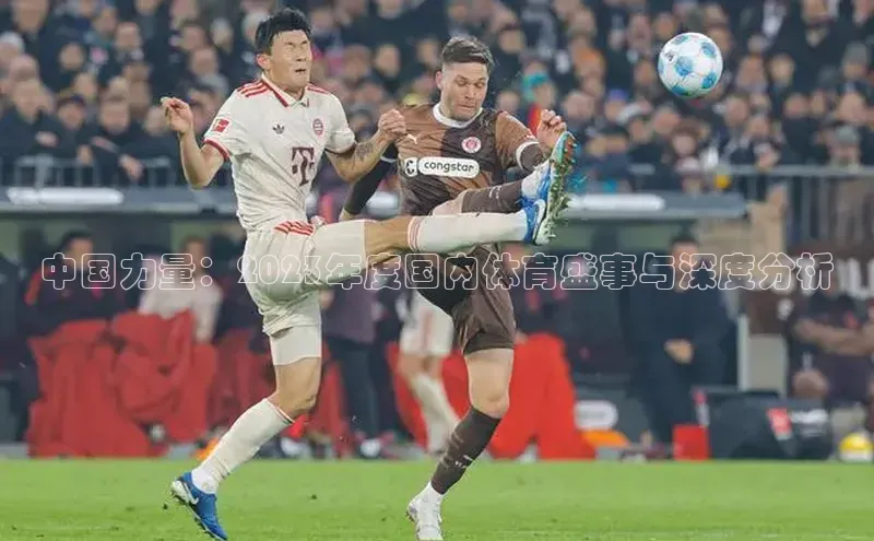 中国力量：2023年度国内体育盛事与深度分析