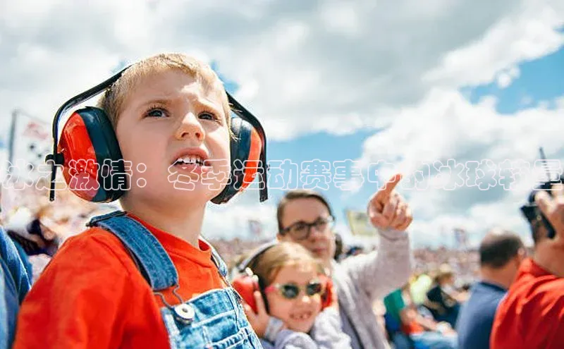 冰之激情：冬季运动赛事中的冰球较量