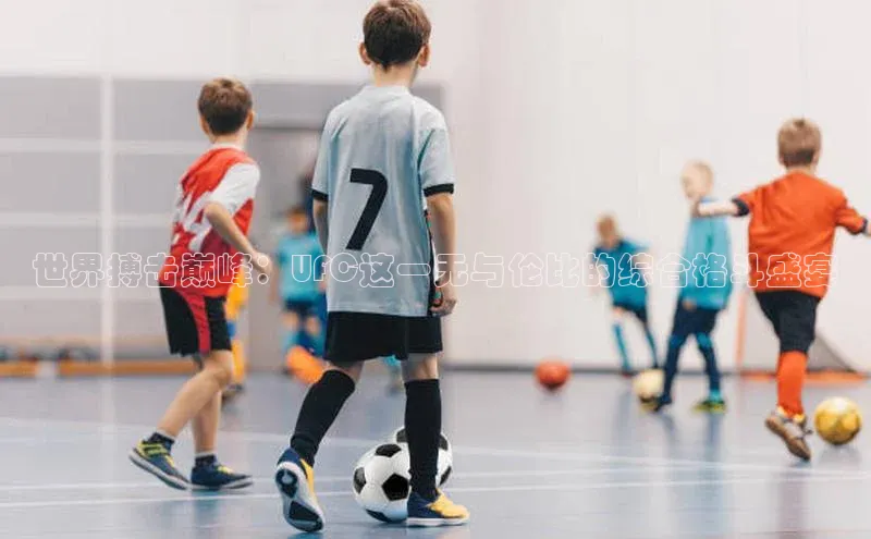 世界搏击巅峰：UFC这一无与伦比的综合格斗盛宴