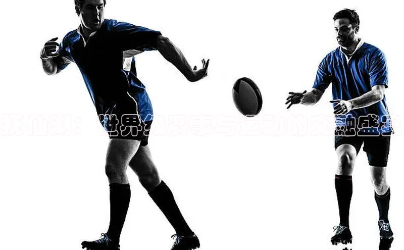 欧亿体育综合app平台