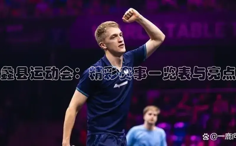 蠡县运动会：精彩赛事一览表与亮点